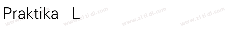 Praktika Light字体转换